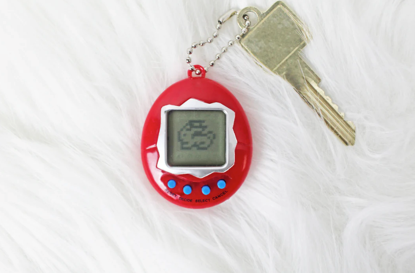 Pocket pet