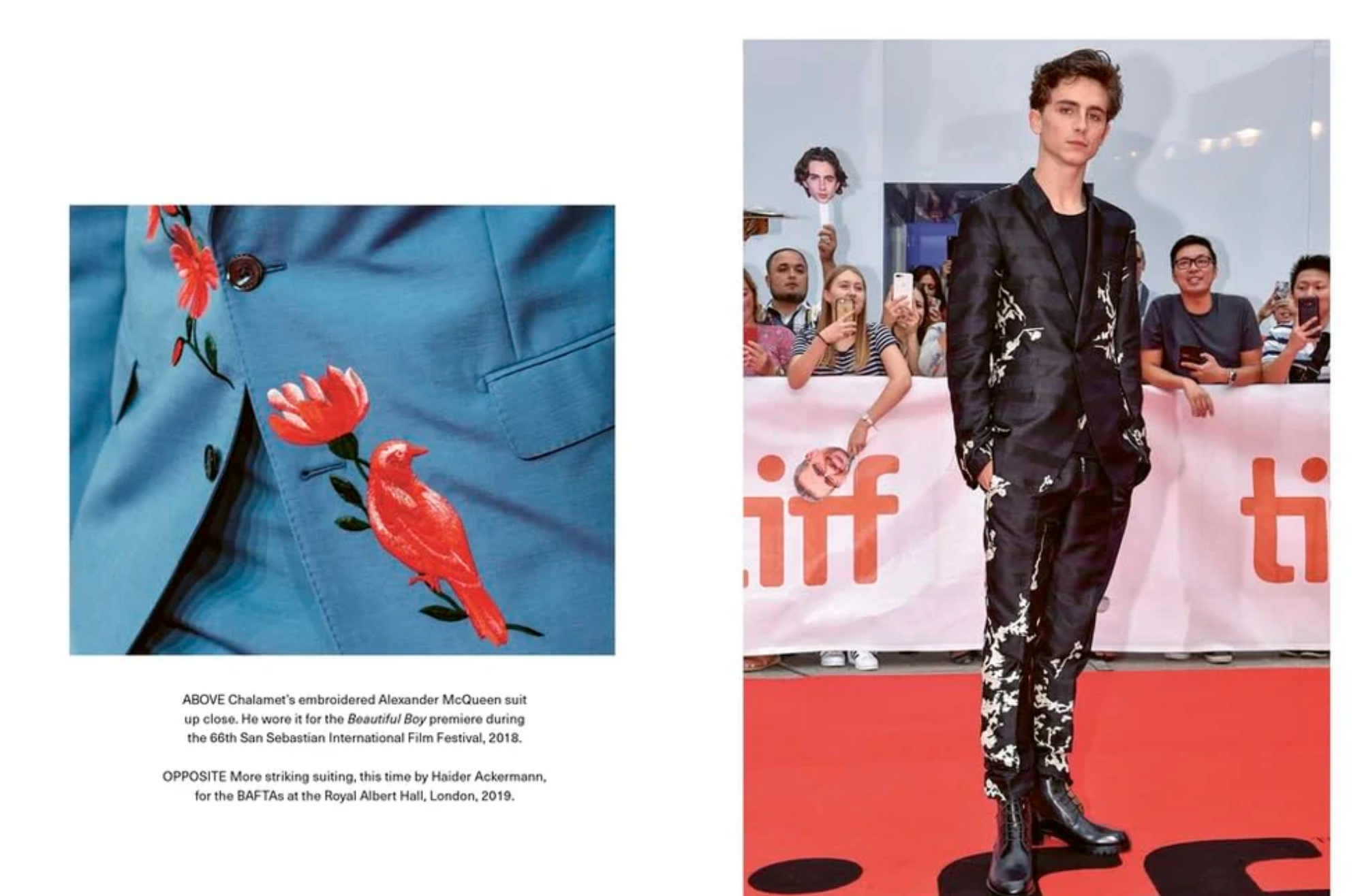 Icons of Style - Timothée Chalamet