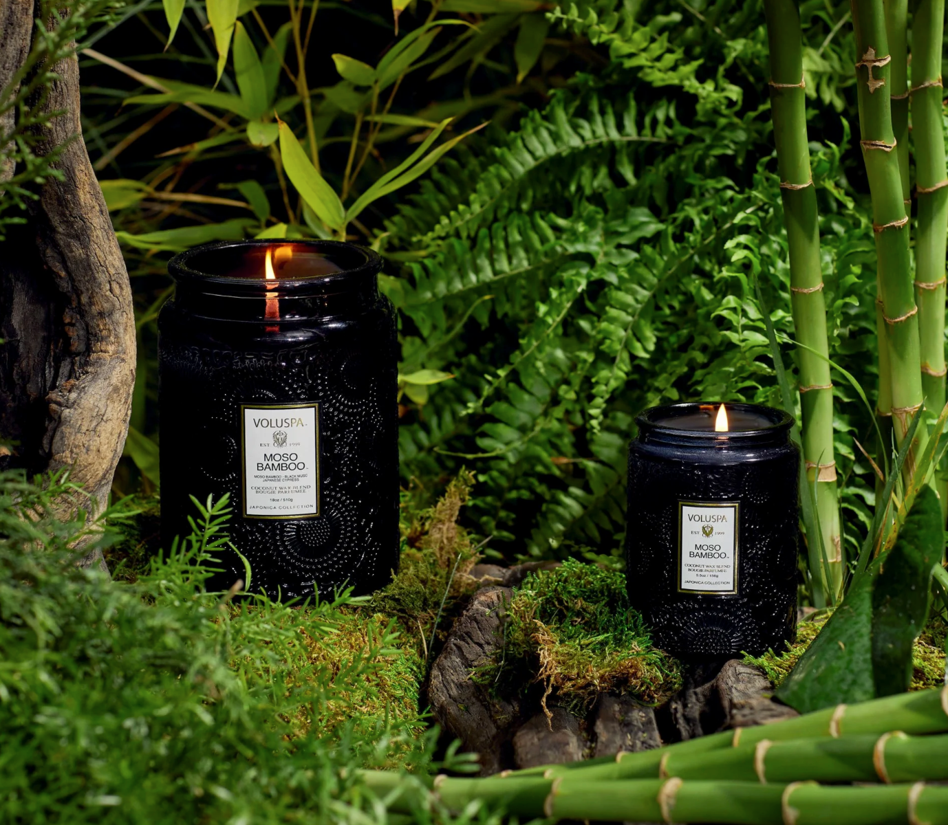 Voluspa bougie parfumée 1 mèche - Moso bamboo