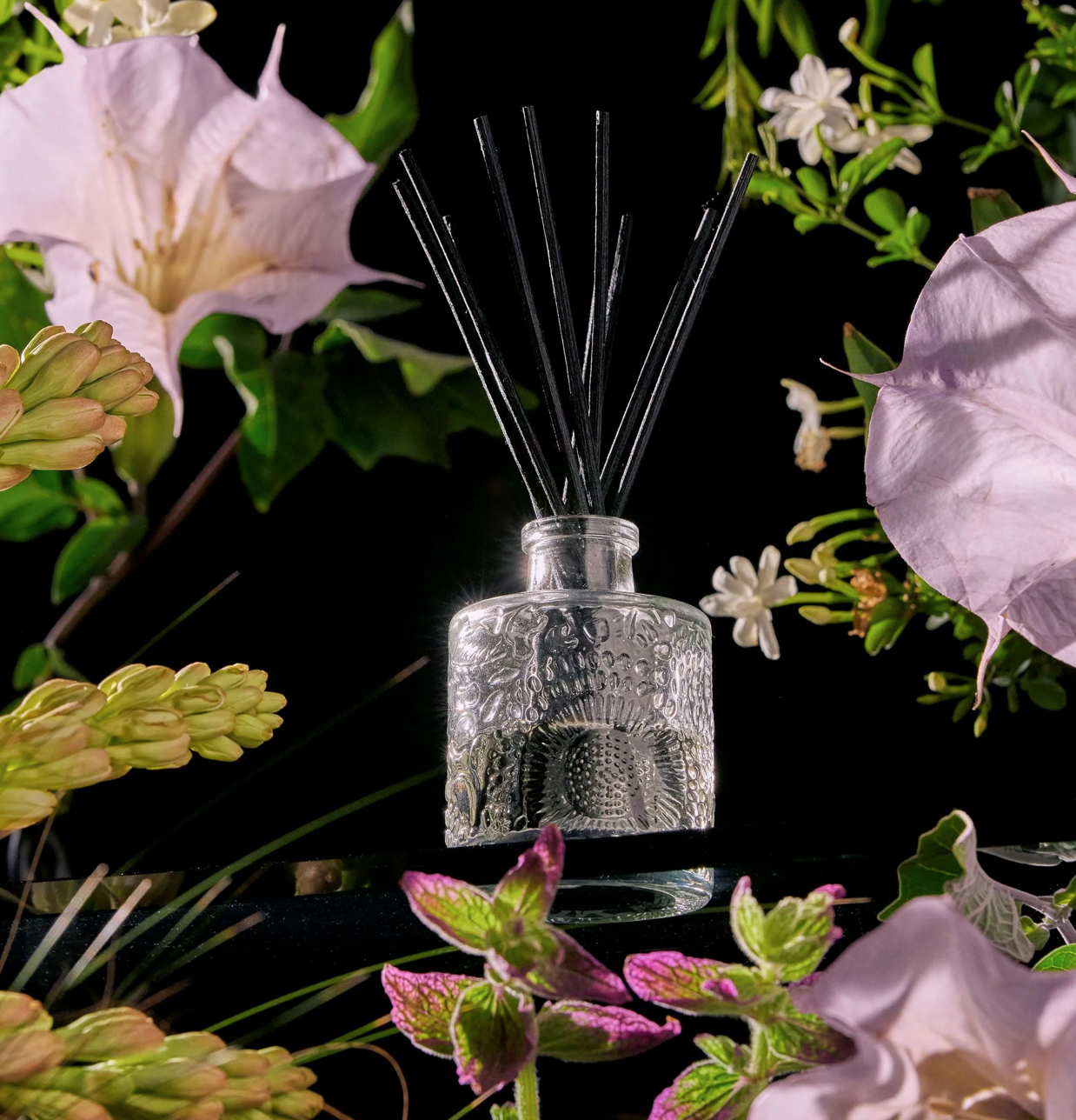 Voluspa diffuseur de parfum - Jasmine midnight