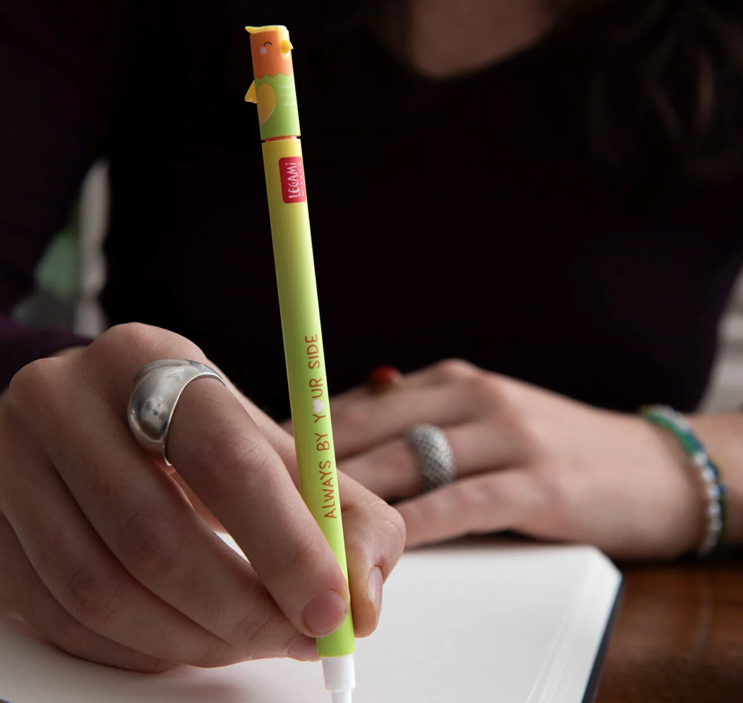 Set de 2 stylos gel effaçable - Love birds