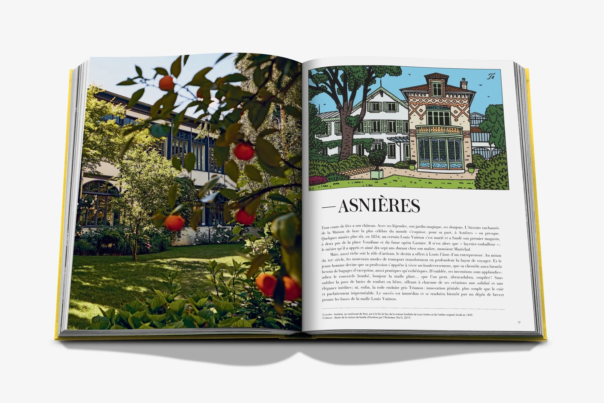 Livre Assouline - From Louis to Vuitton
