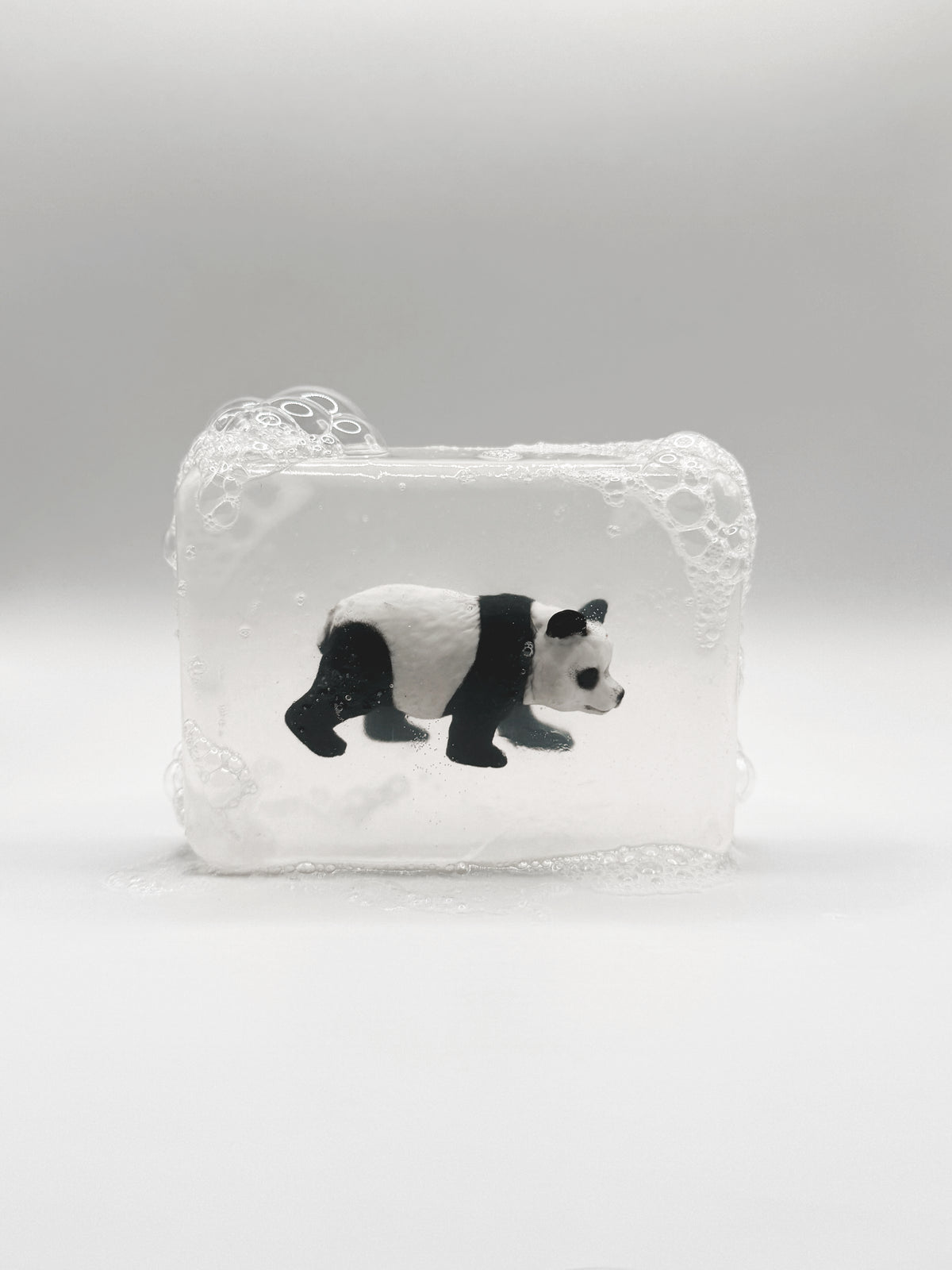 Savon Ludisoap