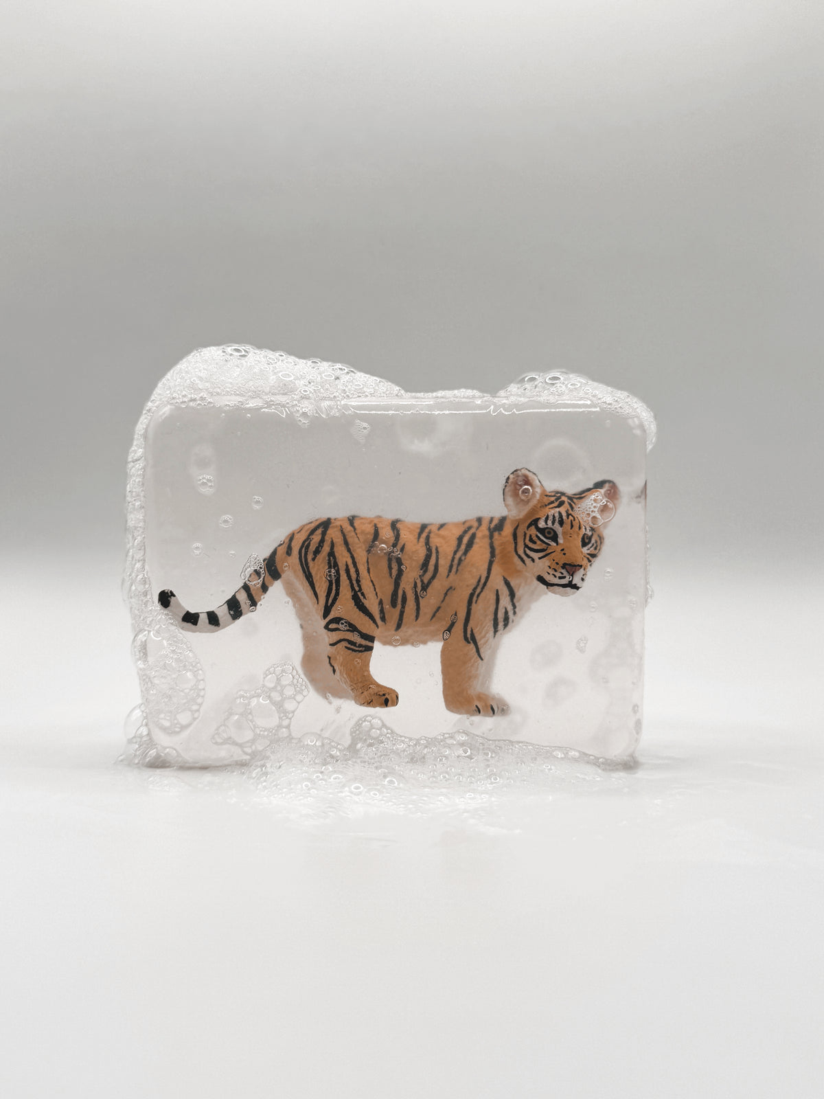 Savon Ludisoap