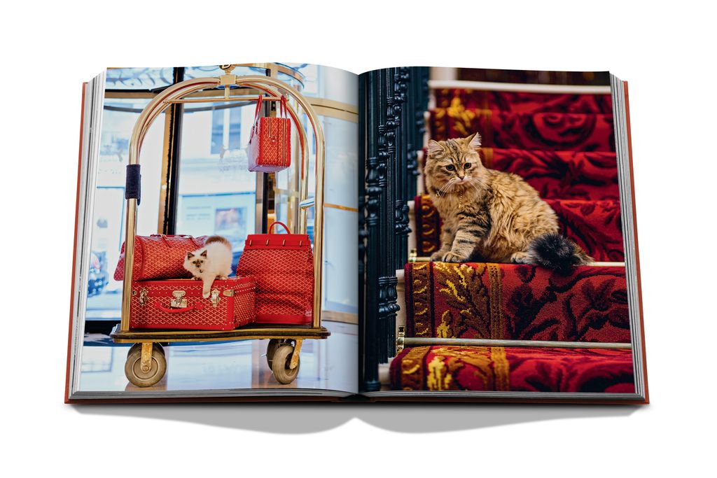 Livre Assouline - Chic cats