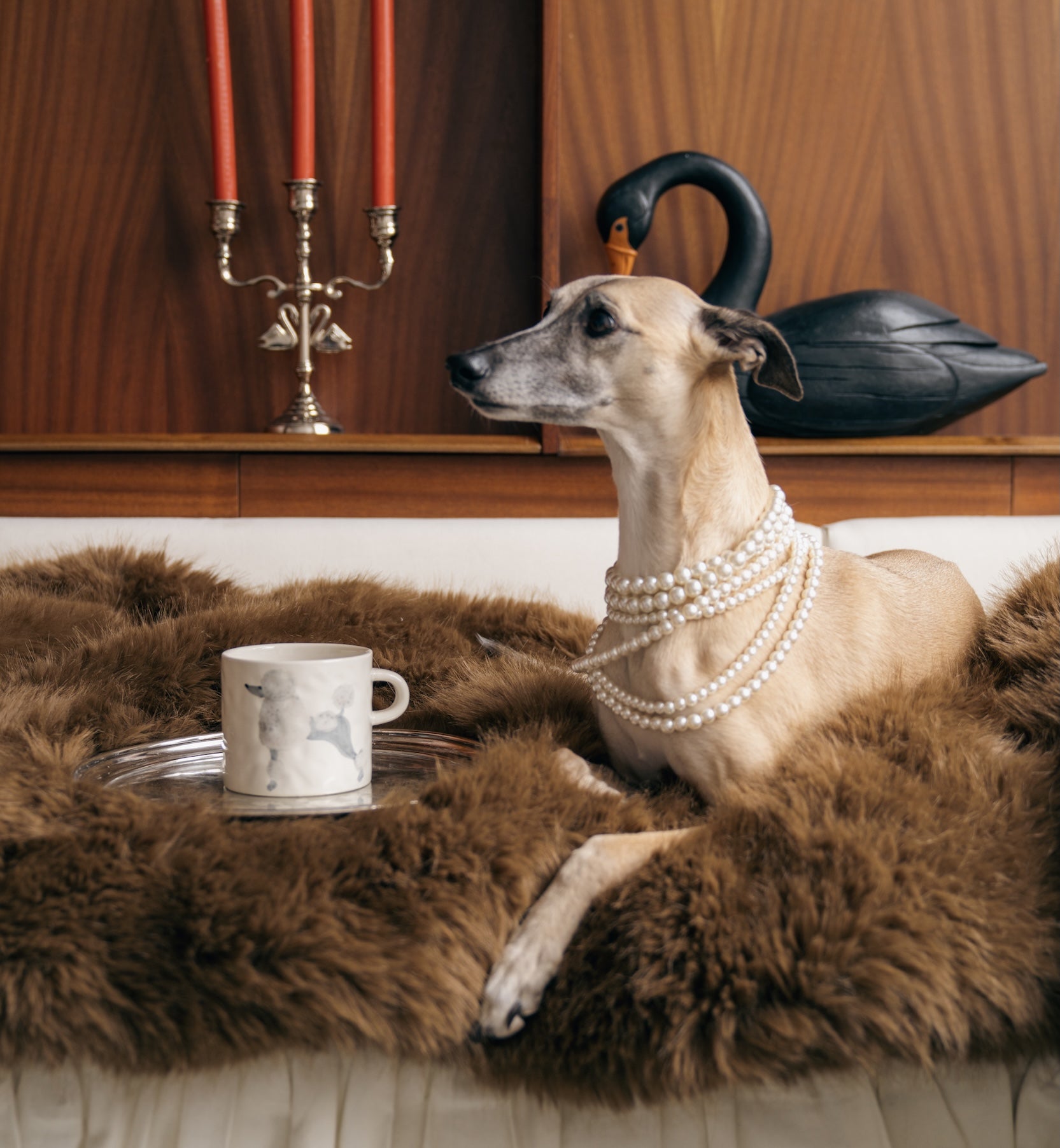 Mug Poodle