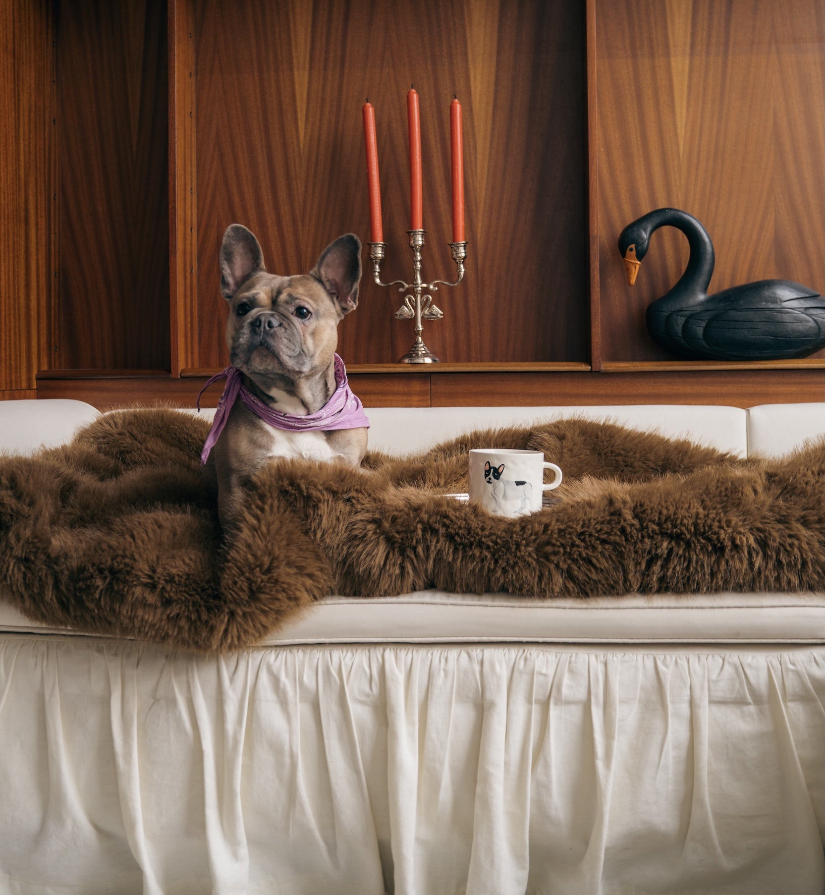 Mug French Bulldog