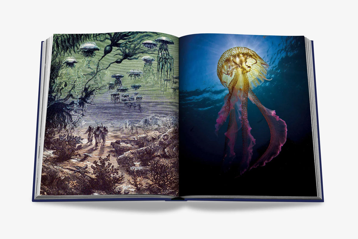 Livre Assouline - Ocean Wanderlust