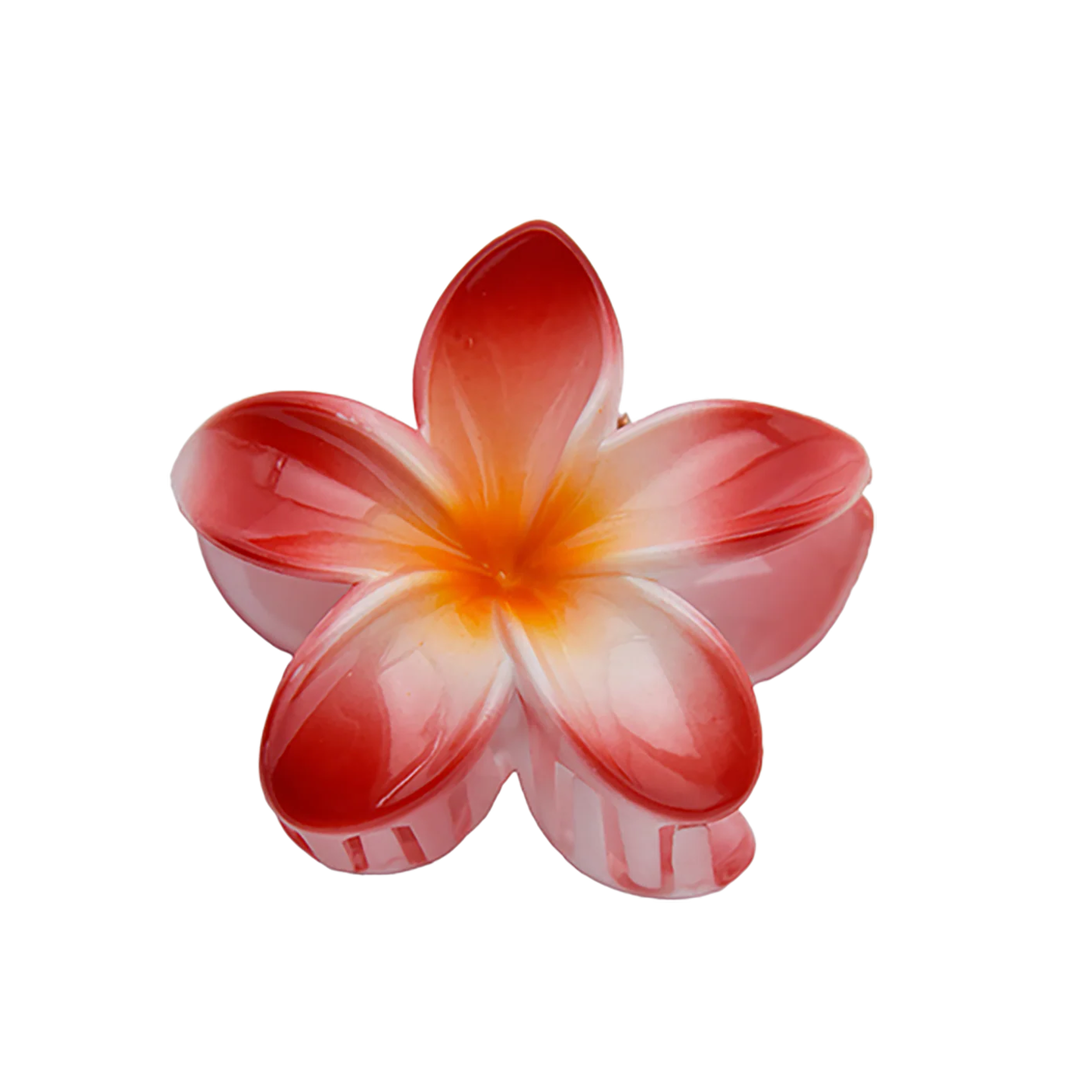 Pince à cheveux aloha