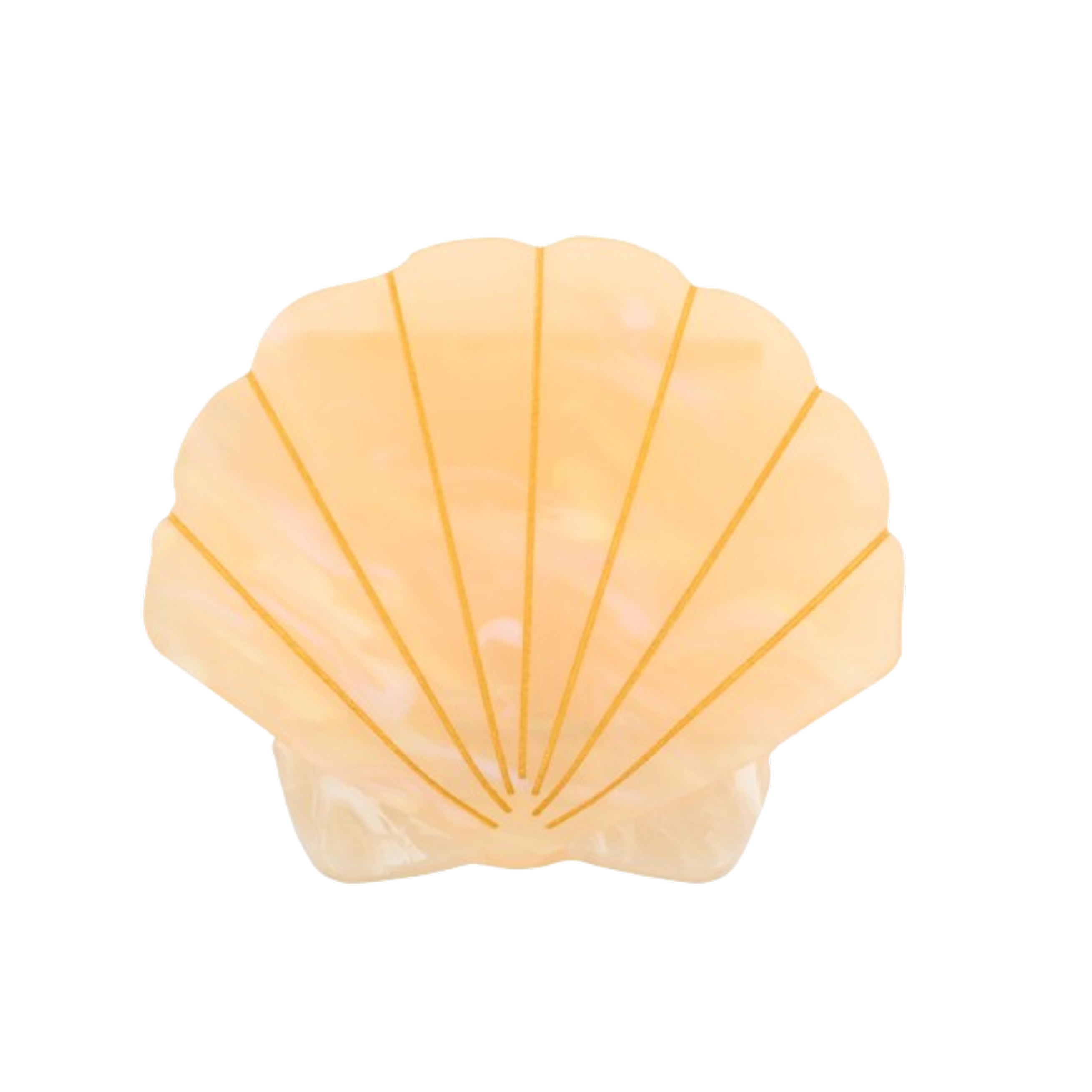 Pince à cheveux en forme de coquillage.
