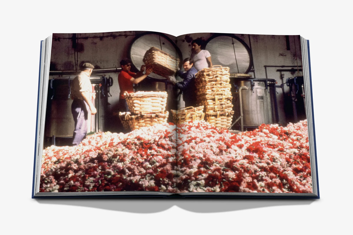 Livre Assouline - Robertet: From Seed to Scent