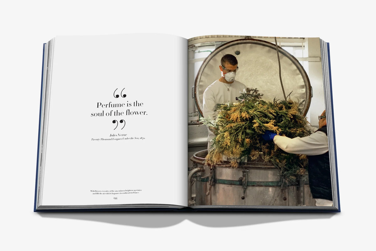 Livre Assouline - Robertet: From Seed to Scent