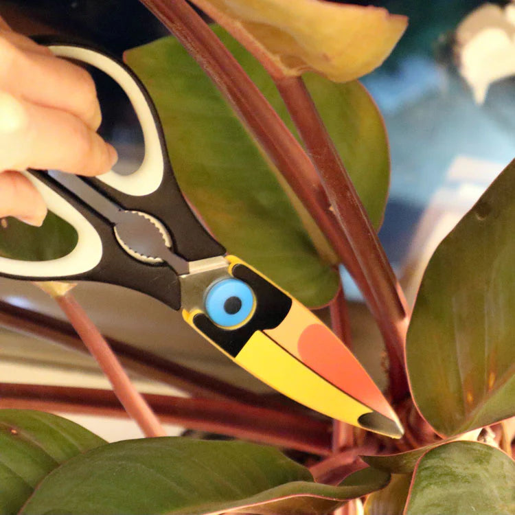 Ciseaux de cuisine - Toucan