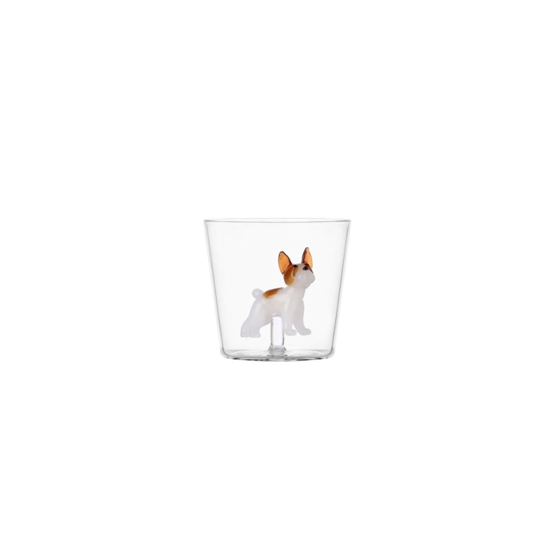 Ichendorf Verre - French Bulldog