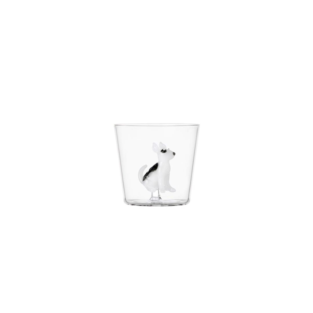 Ichendorf Verre - Bull Terrier