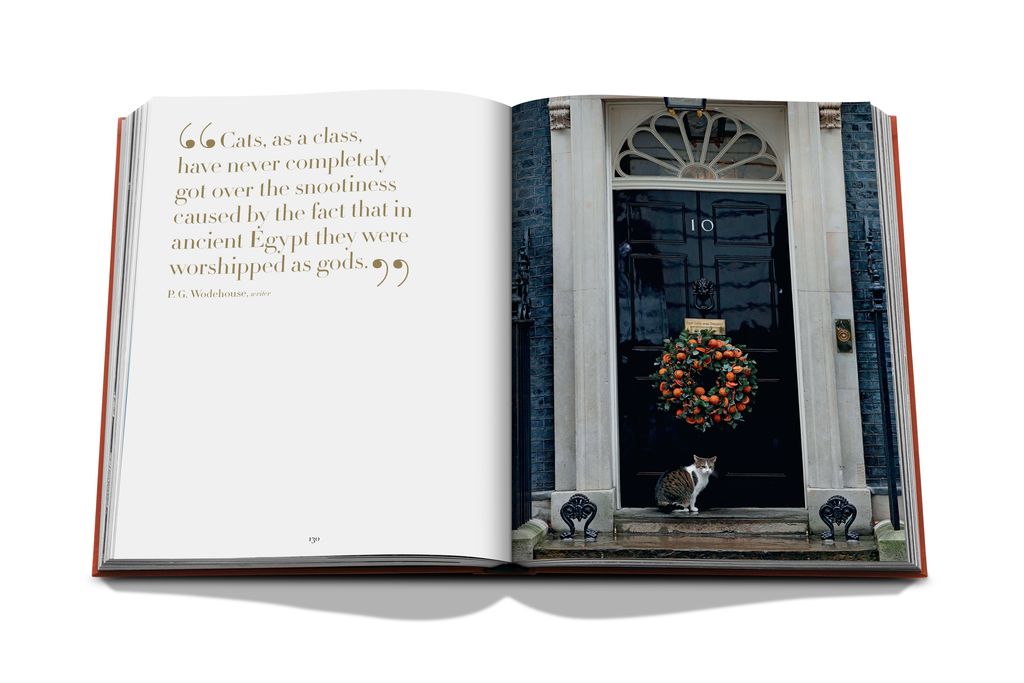 Livre Assouline - Chic cats
