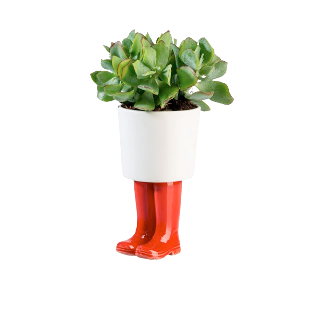 Pot Wellington rouge large