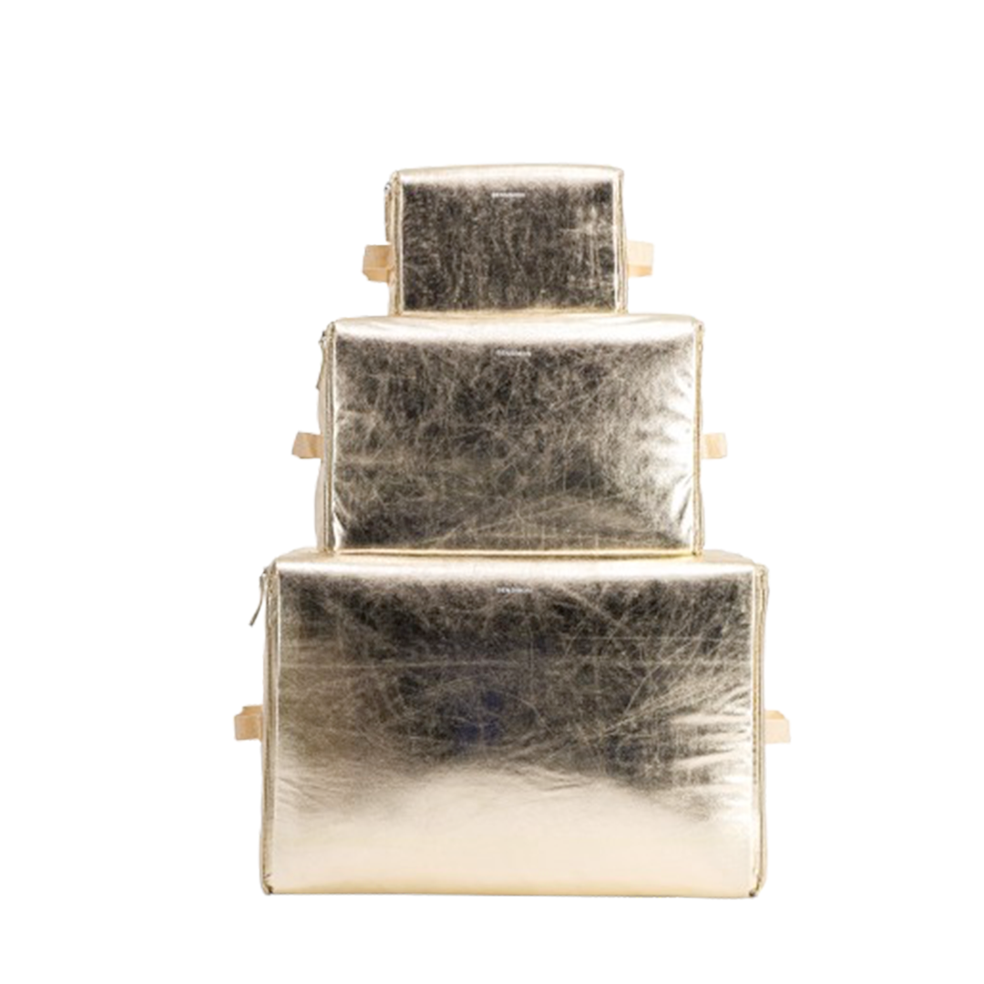Bensimon House Case Shiny Twill - Champagne