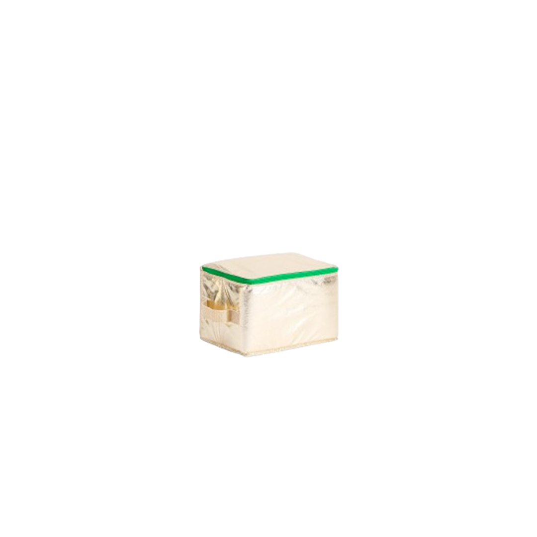 Bensimon House Case Shiny Twill - Champagne