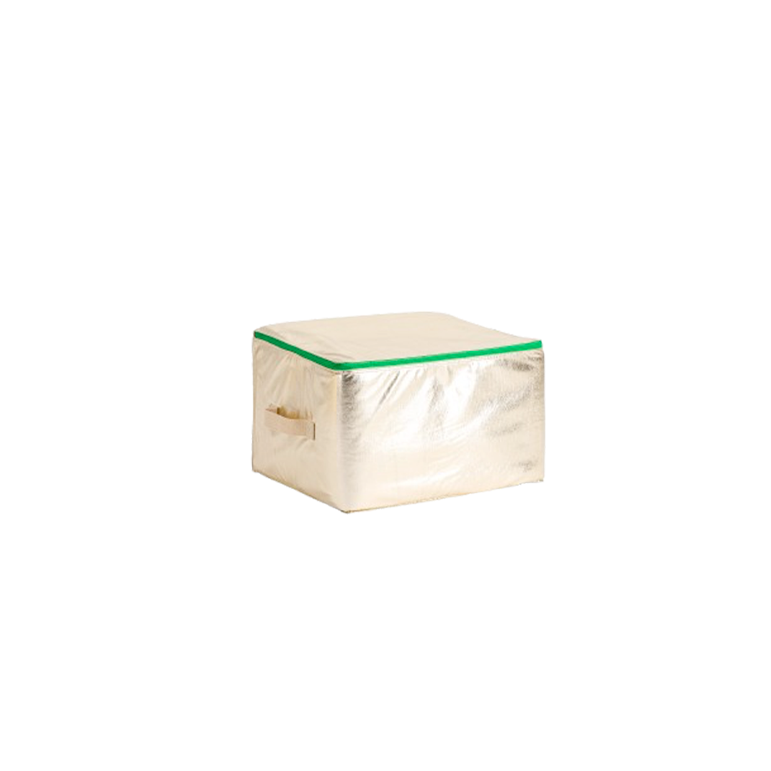 Bensimon House Case Shiny Twill - Champagne
