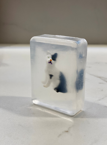 Savon Ludisoap