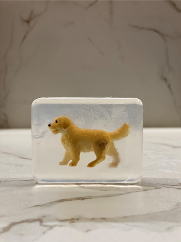 Savon Ludisoap