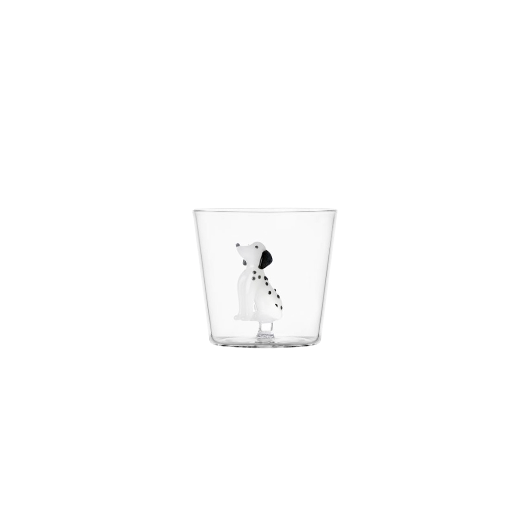Ichendorf Verre - Dalmata