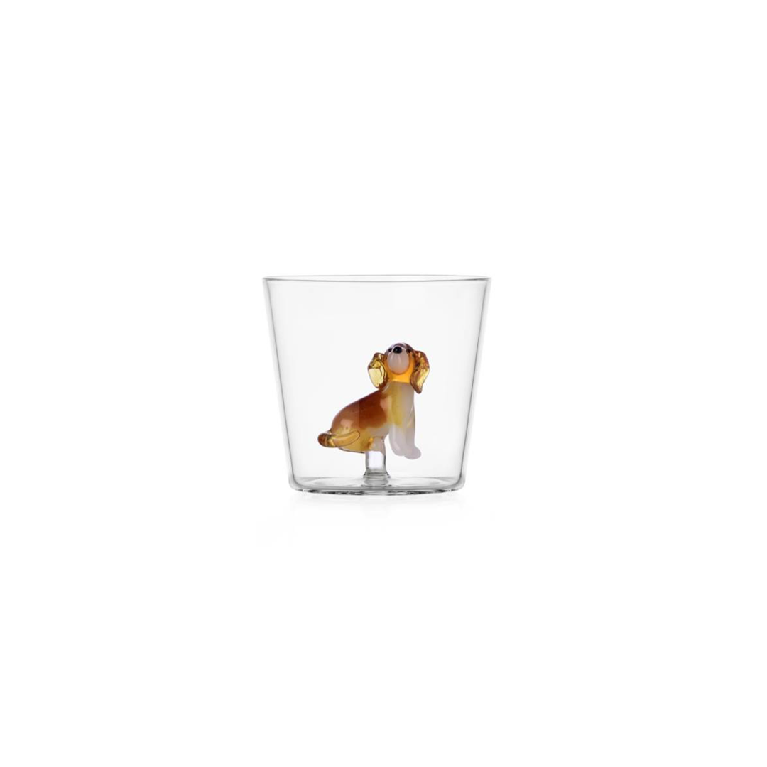 Ichendorf Verre - Golden retriever