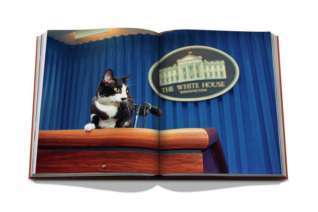 Livre Assouline - Chic cats