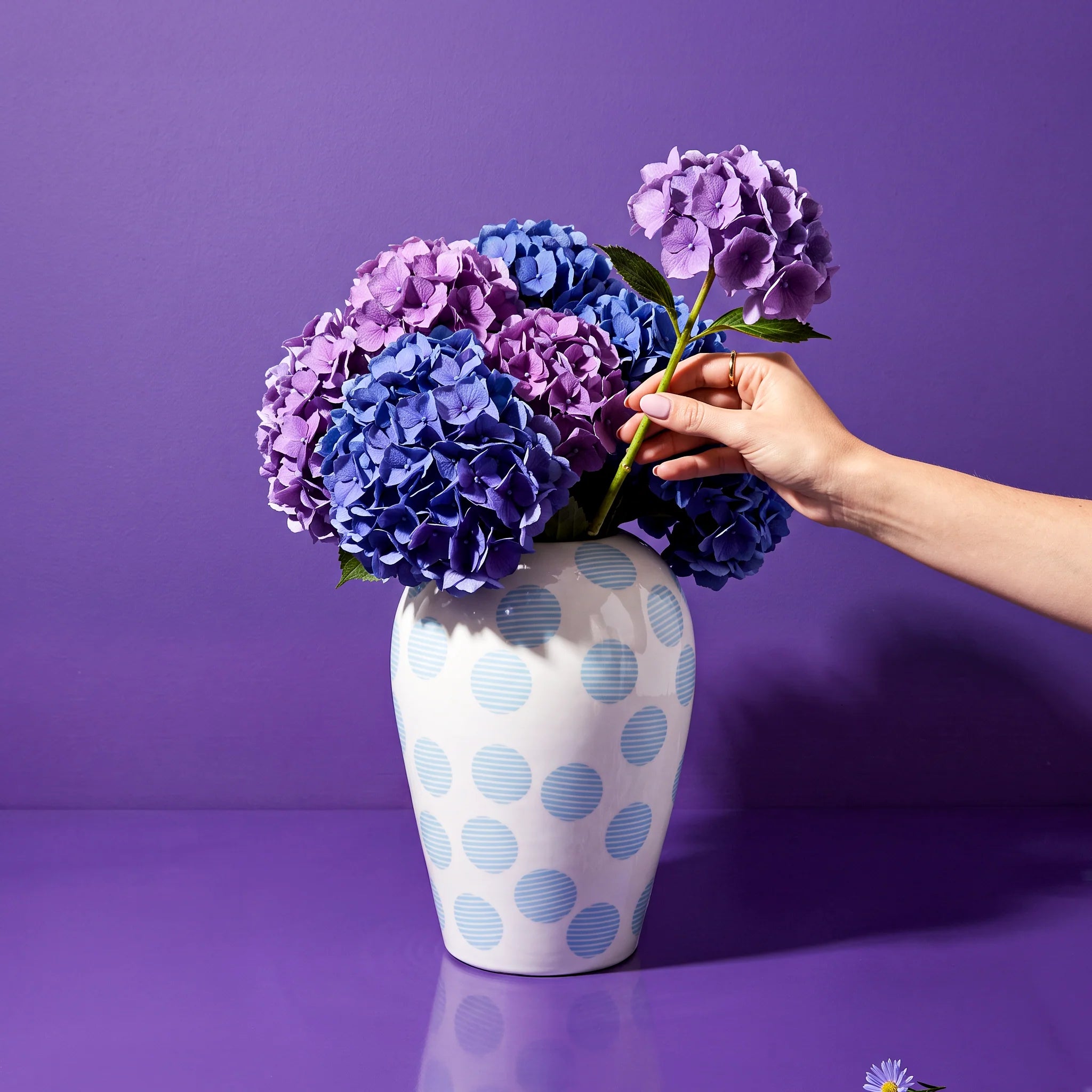Vase collection Canopie - Kiki