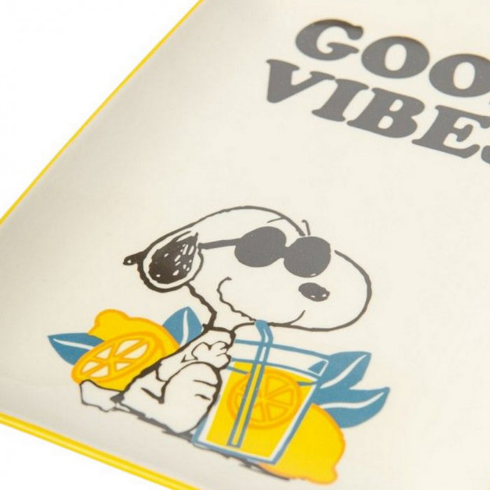 Grand vide poche Snoopy - good vibes