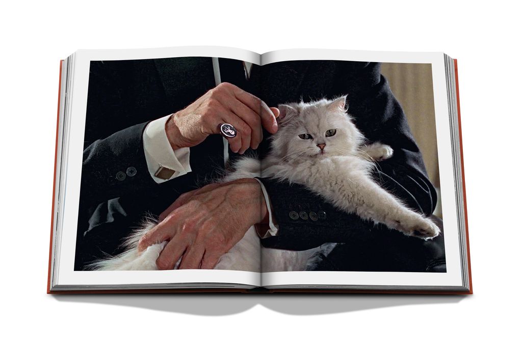 Livre Assouline - Chic cats