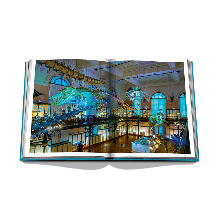 Livre Assouline - Monte Carlo
