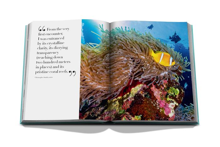 Livre Assouline - Red Sea: The Saudi Coast