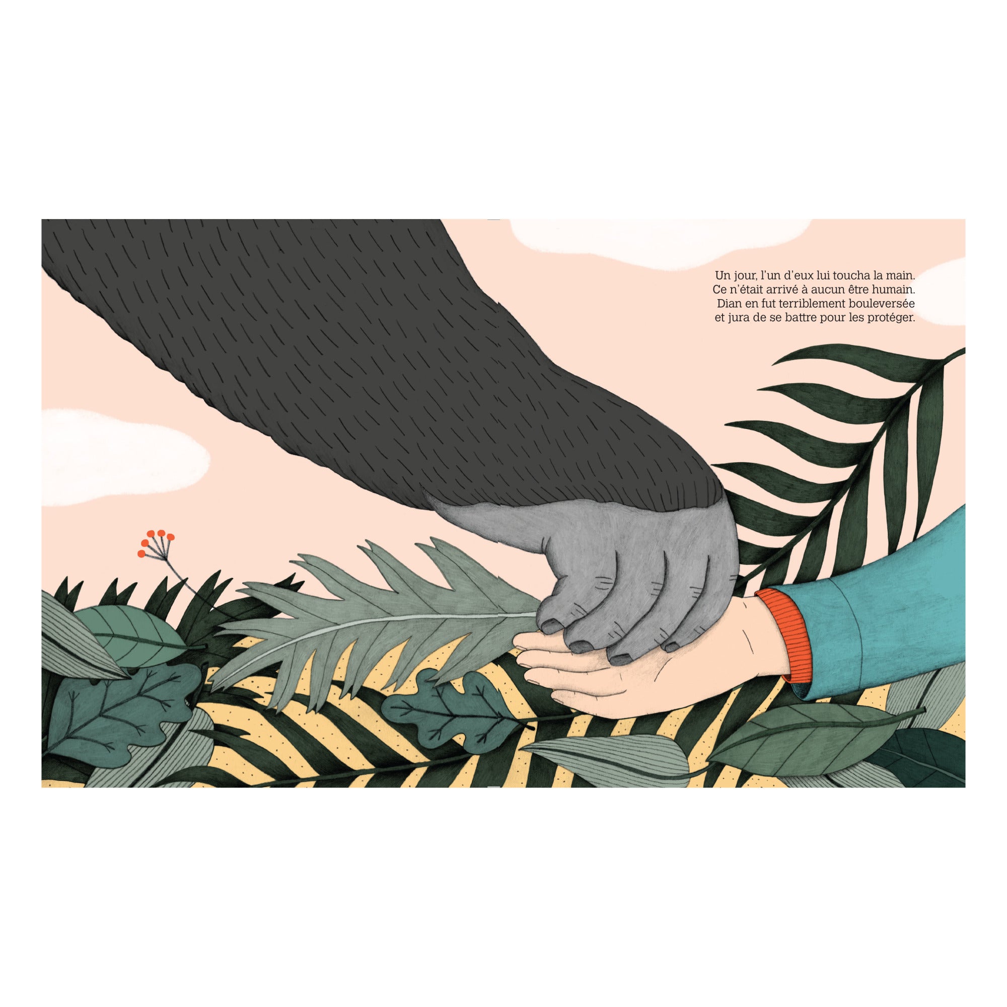 Petite & Grande Livre - Dian Fossey