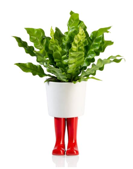 Pot Wellington rouge large